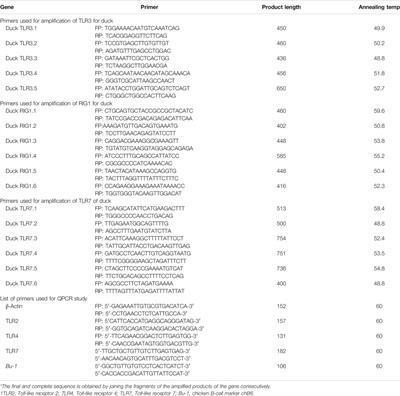 RIGI, TLR7, and TLR3 Genes Were Predicted to Have Immune Response Against Avian Influenza in Indigenous Ducks